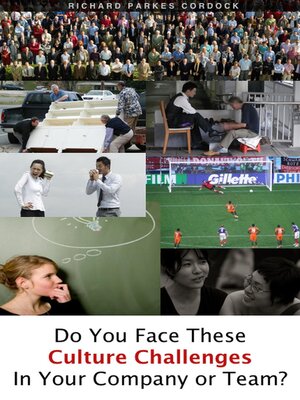 cover image of Do You Face These Culture Challenges In Your Company or Team?